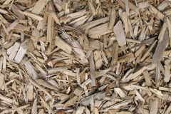 biomass boilers Radcliffe